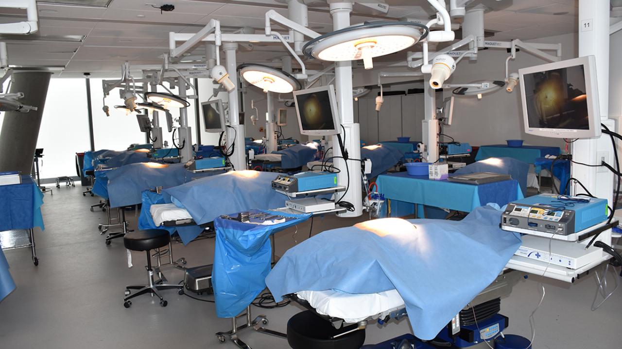 Anatomy Lab Vagelos College of Physicians and Surgeons