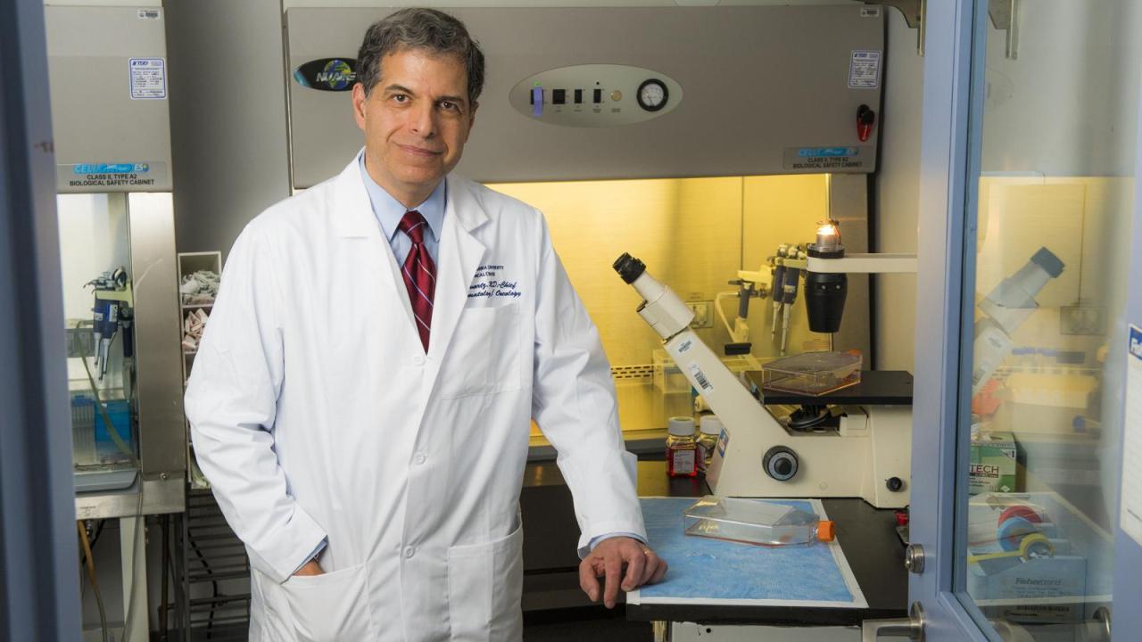 About the Division of Hematology/Oncology Vagelos College of