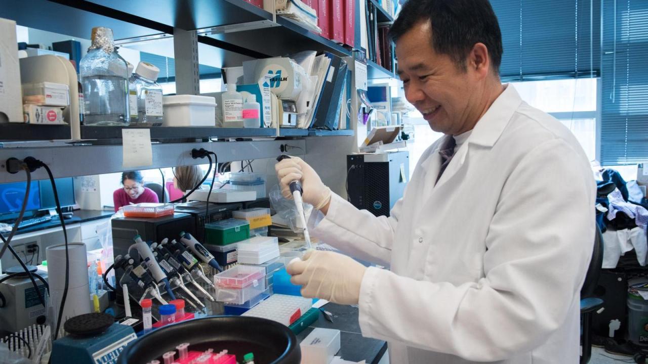 Support the Naomi Berrie Diabetes Center Vagelos College of