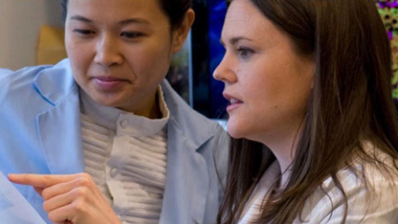 Diabetes Education and Training Programs Vagelos College of