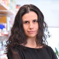 Sanja Vicković, PhD Profile Headshot