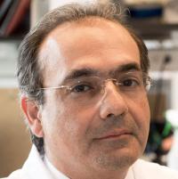 Ali G Gharavi, MD Profile Headshot