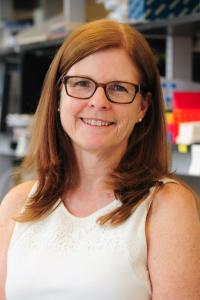 Carol M. Troy, MD, PhD Profile Headshot