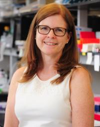 Carol M. Troy, MD, PhD Profile Headshot