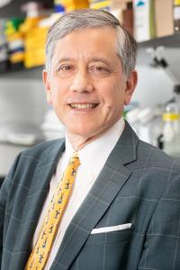 Timothy C Wang, MD Profile Headshot