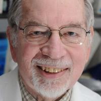 Paul D. Berk, MD Profile Headshot