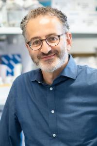 Wassim Elyaman, PhD Profile Headshot
