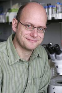 Oliver Hobert, PhD Profile Headshot