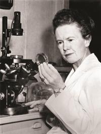 Dr. Hattie E. Alexander