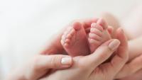 newborn baby feet in mother's hand