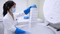 Researcher removes samples from a freezer in a lab