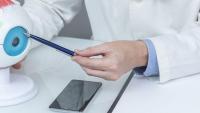 Ophthalmologist points to a model of the eye
