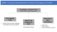 In house development of Novel therapies at CUIMC include studying virus specicfic t cells, novel t cell therapies for cancer and point of care CAR-T manufacturing