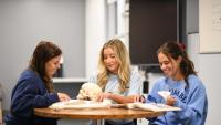 Group of students working together.