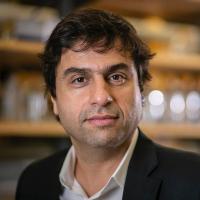 Hashim M. Al-Hashimi, PhD Profile Headshot