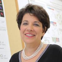 Cory Abate-Shen, PhD Profile Headshot