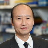 Stephen H Tsang, MD, PhD Profile Headshot