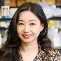 Tingting Yang, PhD Profile Headshot