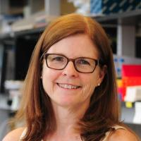 Carol M. Troy, MD, PhD Profile Headshot