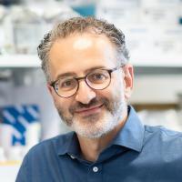 Wassim Elyaman, PhD Profile Headshot