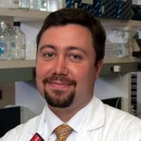 David P. Horowitz, MD Profile Headshot