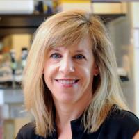 Lori Zeltser, PhD Profile Headshot