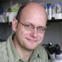 Oliver Hobert, PhD Profile Headshot