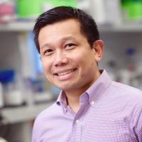 Vladimir P. Bermudez, PhD.