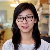 Jing Fu, PhD