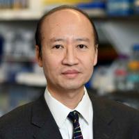 Stephen Tsang, MD, PhD