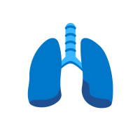 illustration of the lungs