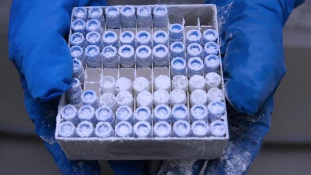 Columbia Center for Translational Immunology Vagelos College of